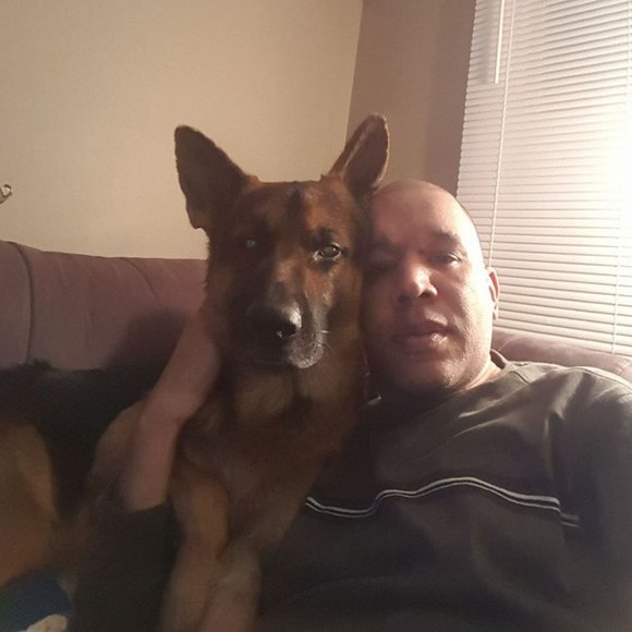 Mark n Maximus - Picture 1 of 1